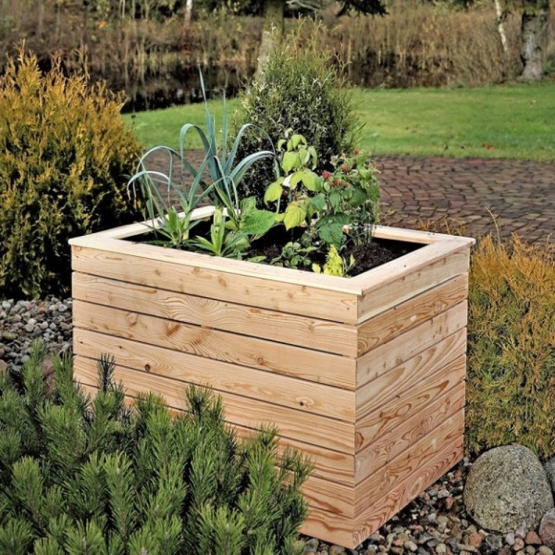 Shire Irena larch planter