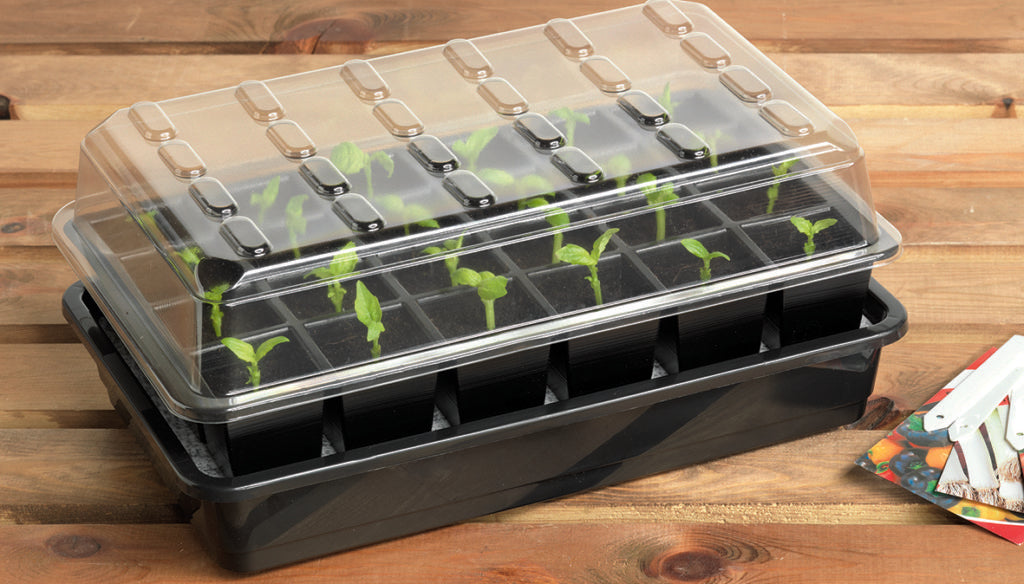 Elite Greenhouse 24-cell self-watering seed success kit