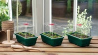 Elite Greenhouse propagator dome