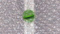 Elite Greenhouses – Accessories: Insulation & Shading
