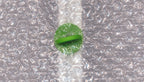 Elite Greenhouses – Accessories: Insulation & Shading