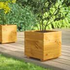 Power Sheds – Planter