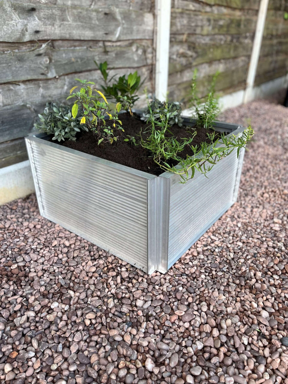 Elite Roots and Shoots raised bed