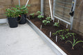 Elite Greenhouses – Accessories: Soil Bed Divider