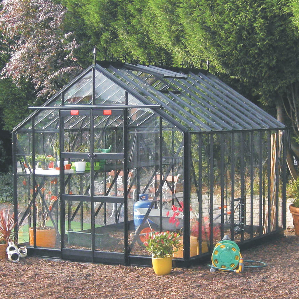 Elite Greenhouses – Thyme