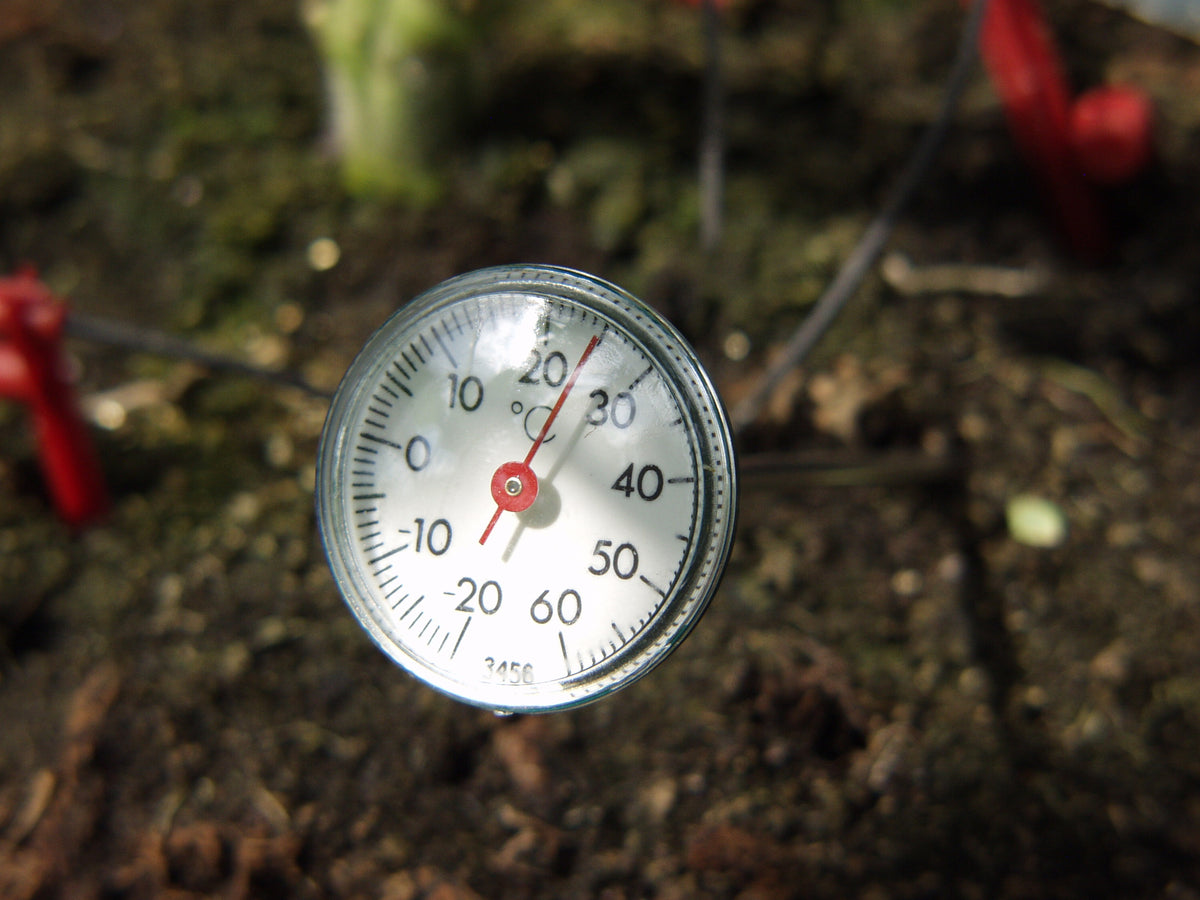 Vitavia Soil Thermometer
