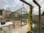 Elite Greenhouses – Thyme Dwarf Wall