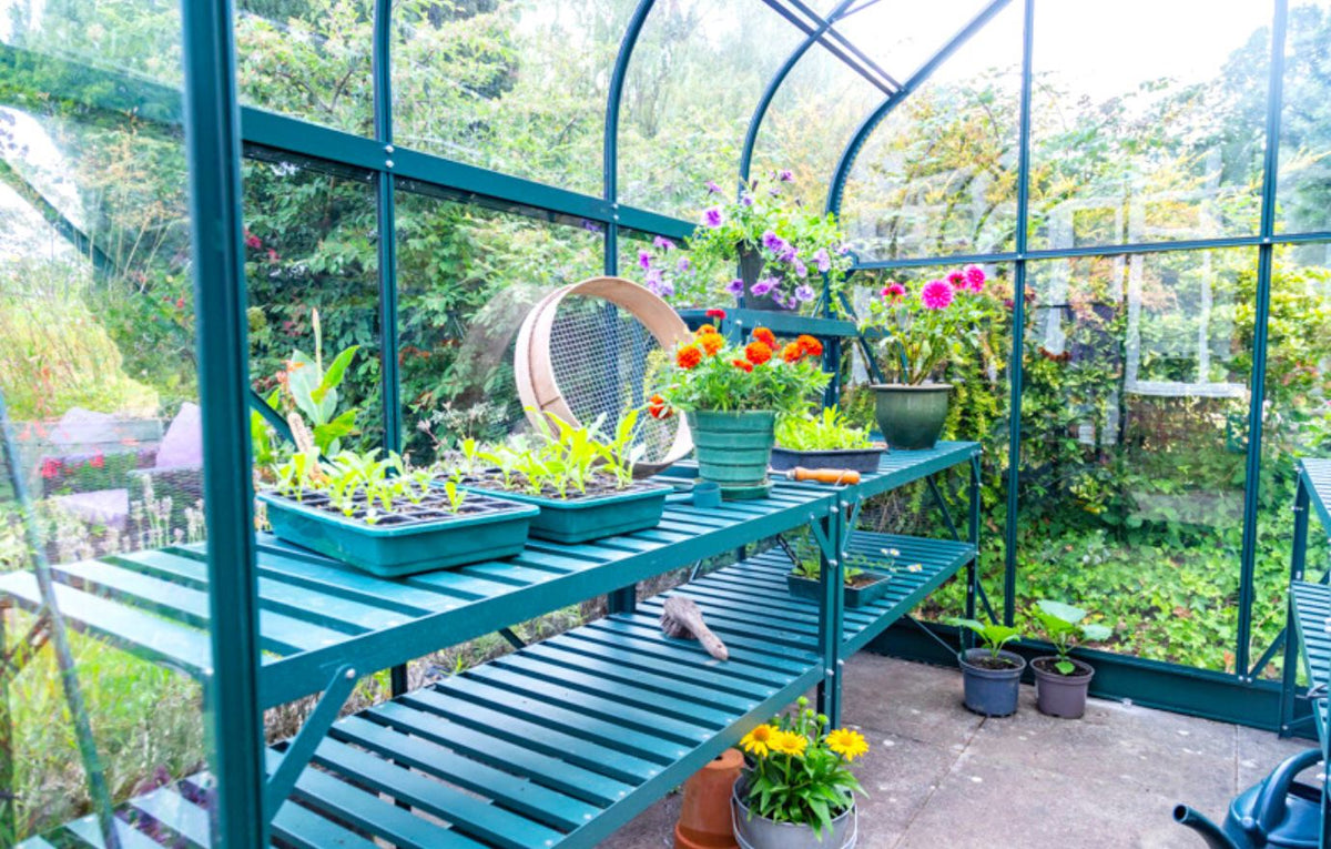 Vitavia 2 Tier Staging