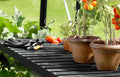 Vitavia 1 Tier Staging