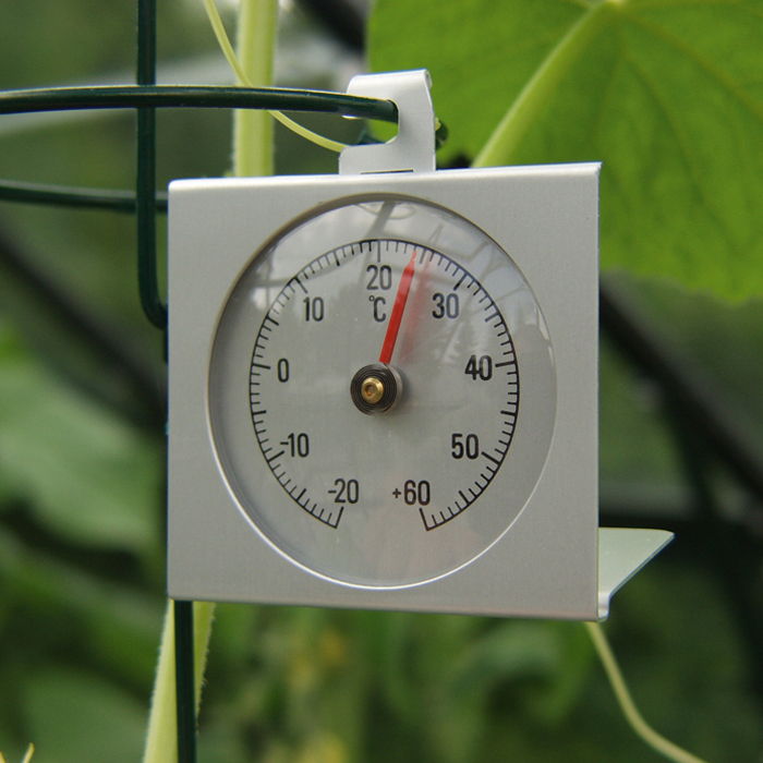 Vitavia Thermometer