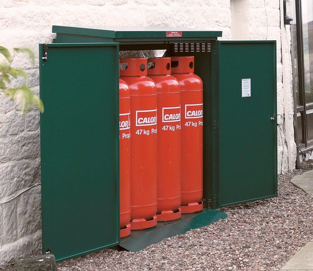 Asgard metal storage in a garden