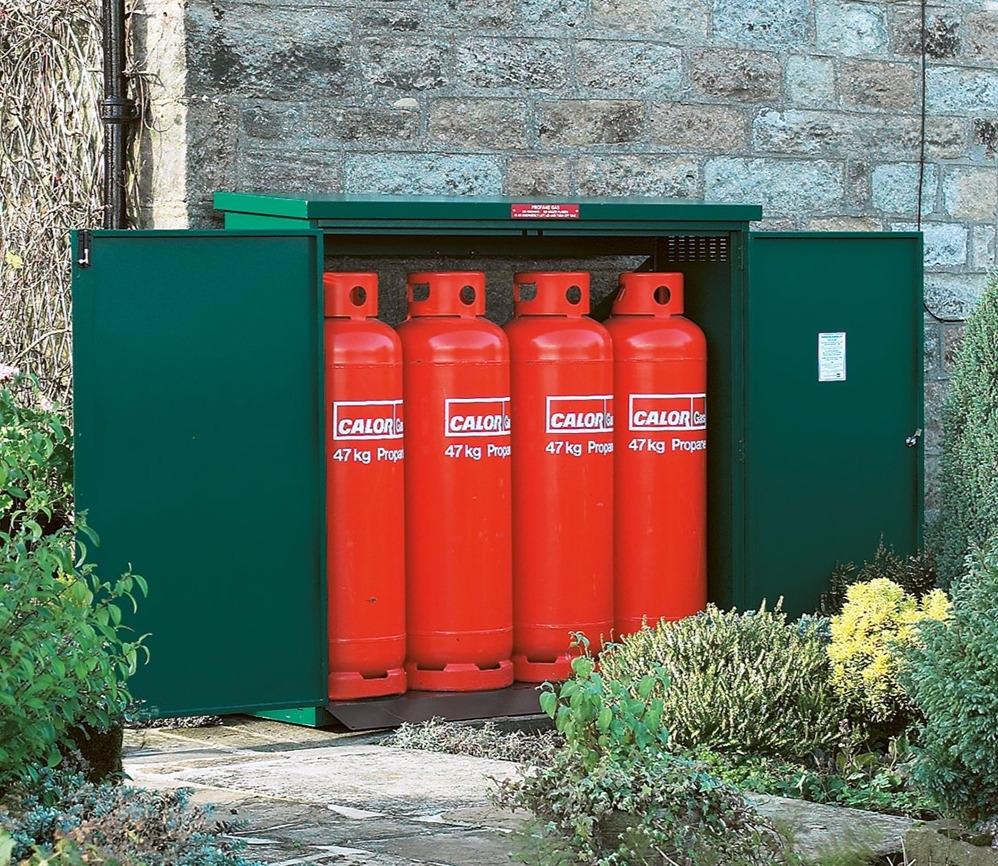 Asgard metal storage in a garden