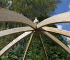 Shire Apollo curved pergola – view 4