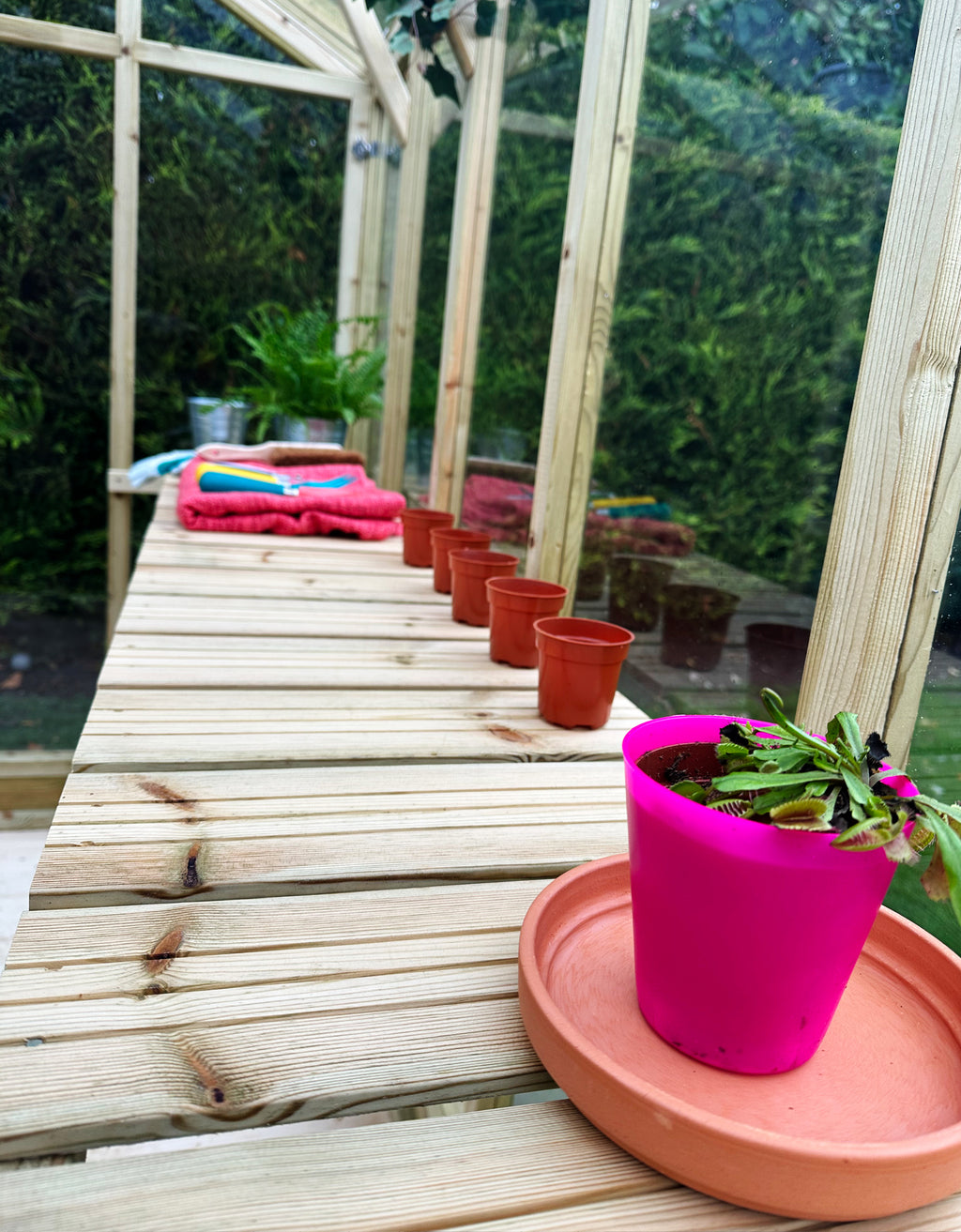 TGB Coppice Ashdown Apex Greenhouse – close-up detail