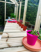 TGB Coppice Ashdown Apex Greenhouse – close-up detail