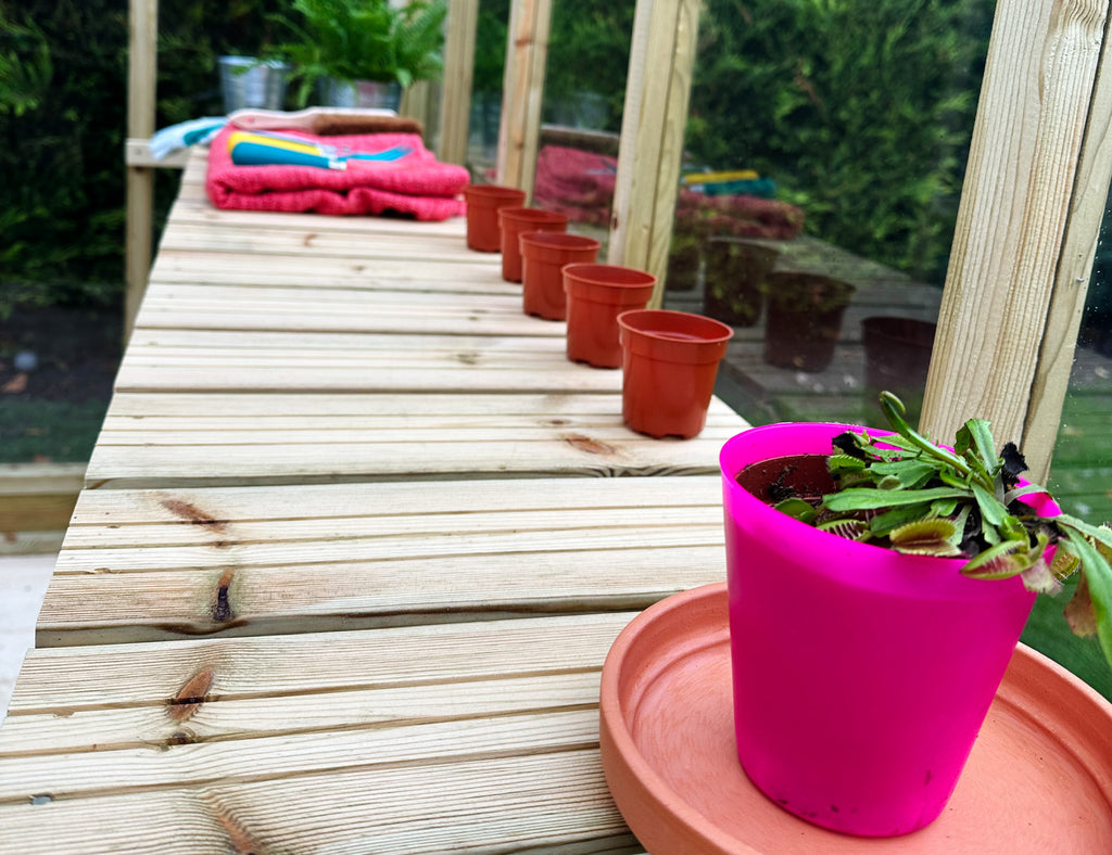 TGB Coppice Ashdown Apex Greenhouse – additional angle