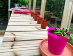 TGB Coppice Ashdown Apex Greenhouse – additional angle
