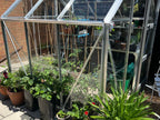 Elite Craftsman Greenhouse – customer installation, Whitstable
