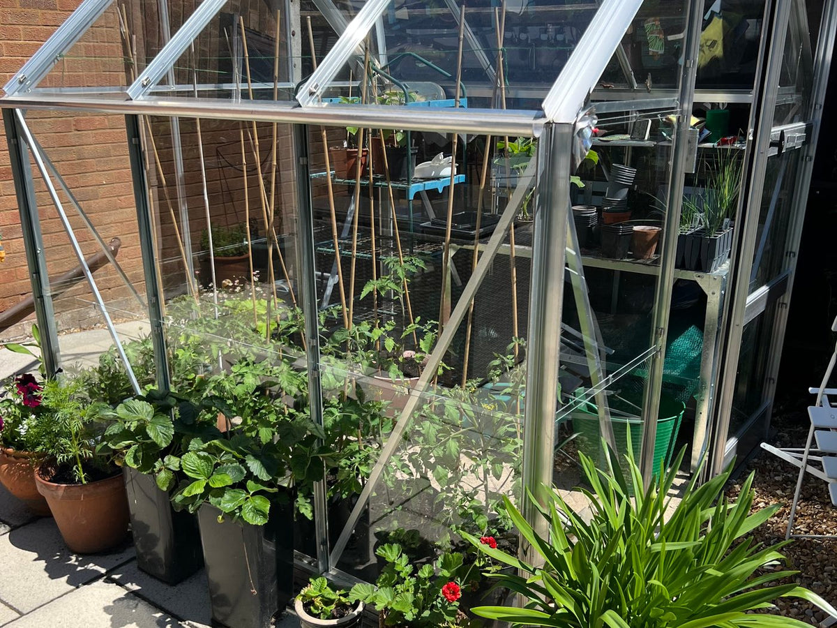 Elite Craftsman Greenhouse – customer installation, Whitstable