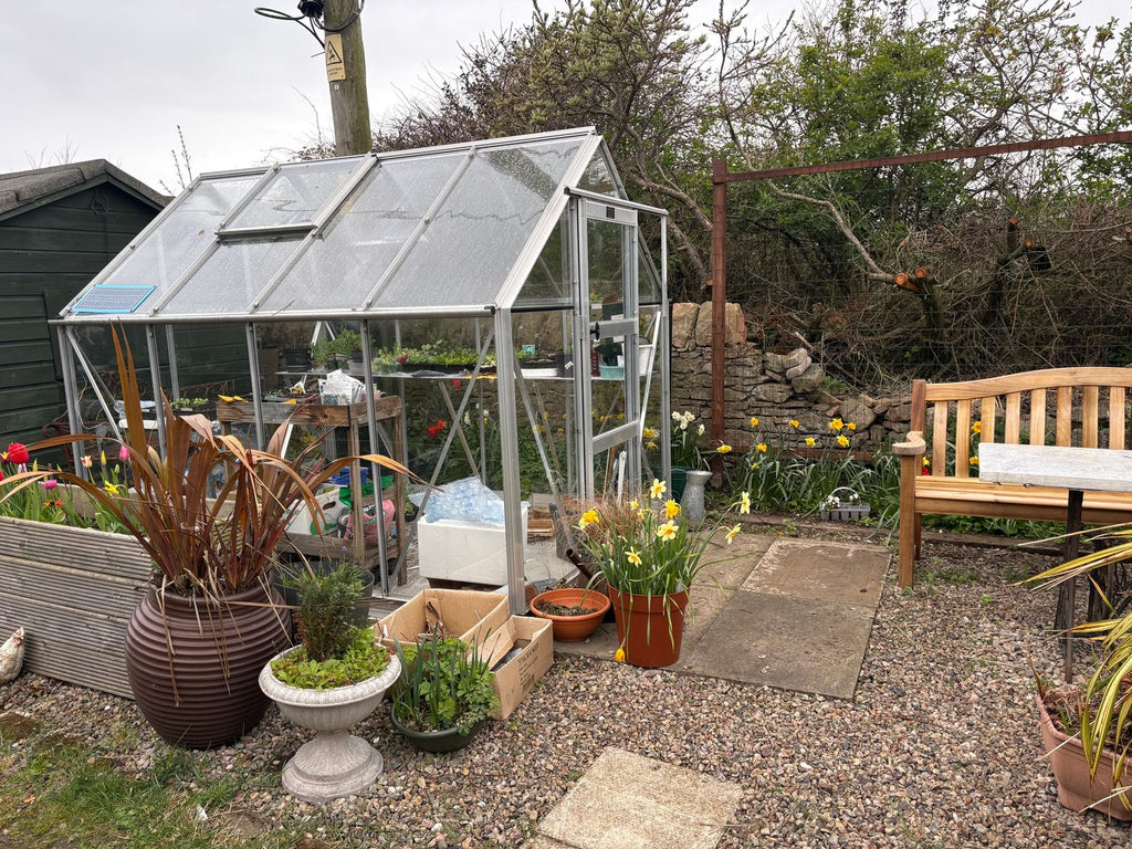 Elite Craftsman Greenhouse – customer installation, Edinburgh