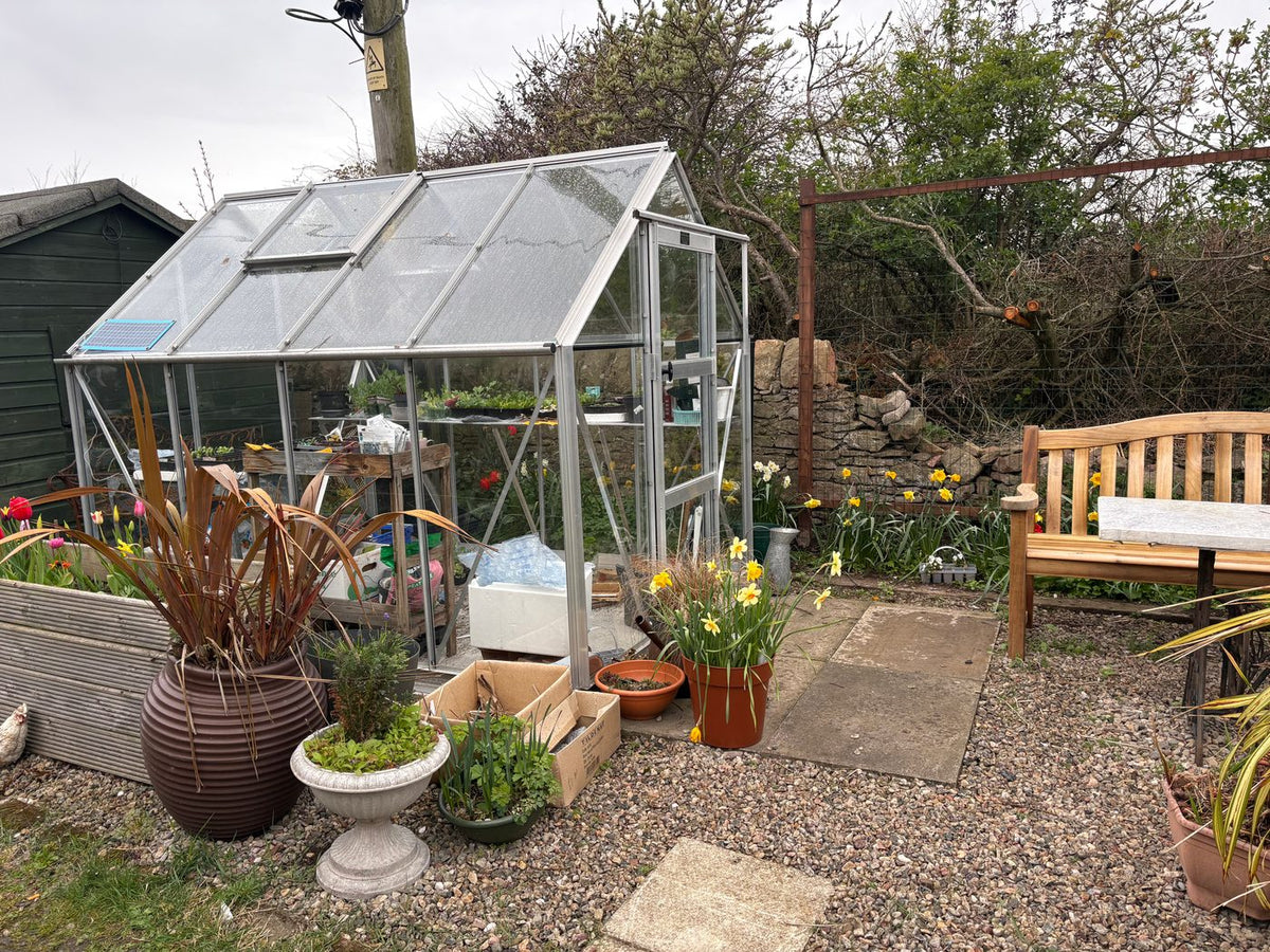 Elite Craftsman Greenhouse – customer installation, Edinburgh