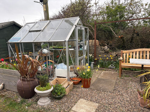 Elite Craftsman Greenhouse – customer installation, Edinburgh