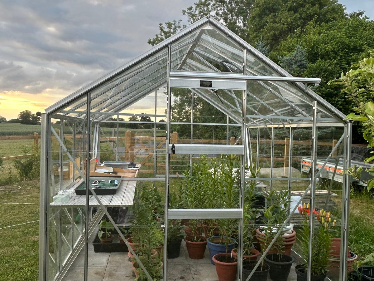 Elite Belmont Greenhouse – customer photo 2