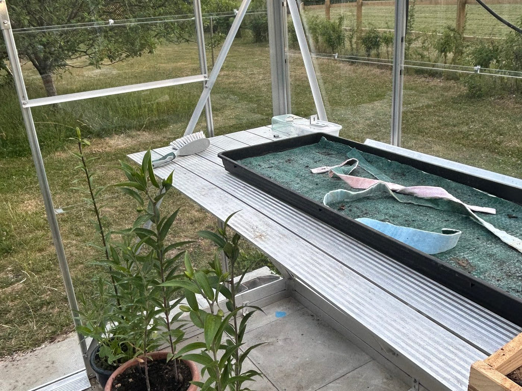 Elite Belmont Greenhouse – customer photo 3