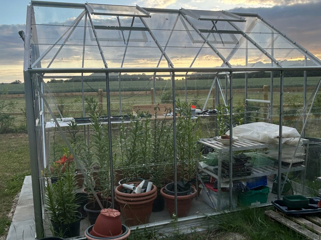 Elite Belmont Greenhouse – customer photo 4