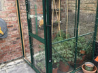 Elite Windsor Lean To Greenhouse – customer photo 4