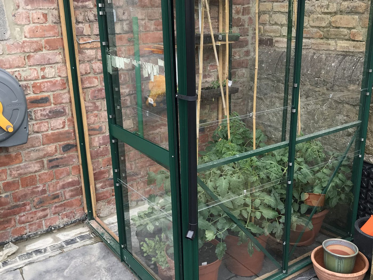 Elite Windsor Lean To Greenhouse – customer photo 4