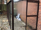 Elite Windsor Lean To Greenhouse – customer photo 3