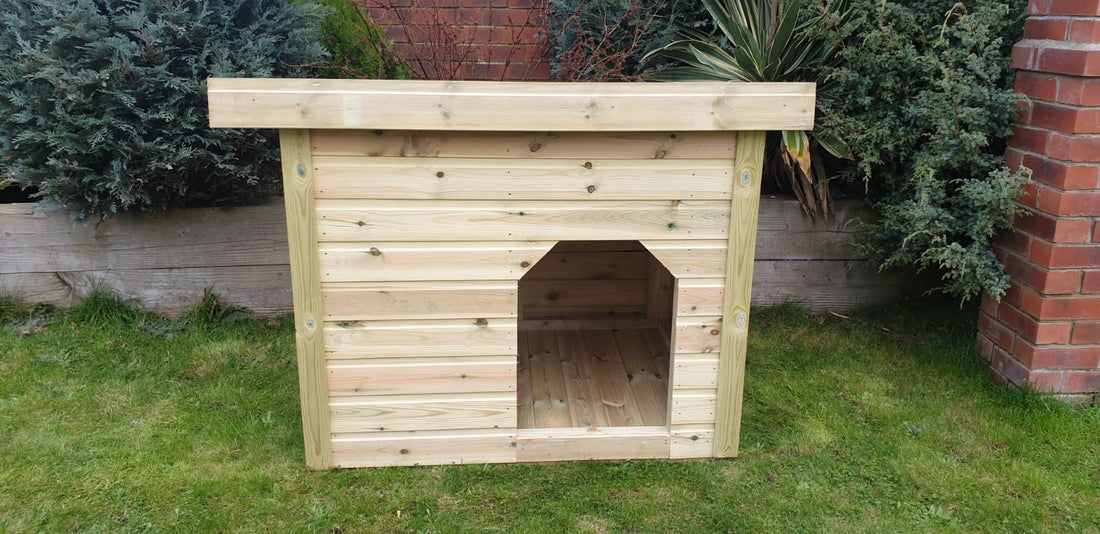 Suresheds Dog Kennel - Pent – exterior view