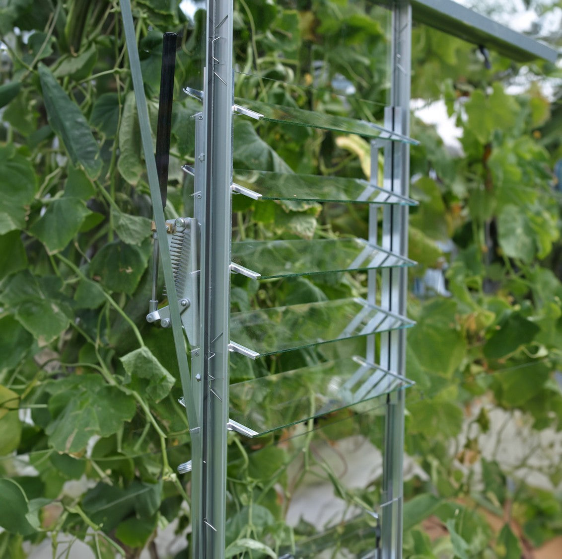 Vitavia 5 Blade Louvre Window (Incl. Toughened Glass)